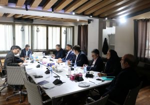 نشست هم اندیشی مدیران منتخب شعب با مدیرعامل بیمه رازی