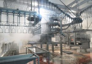 بهره برداری از کشتارگاه صنعتی طیور سپید ماکیان با حمایت بانک کشاورزی