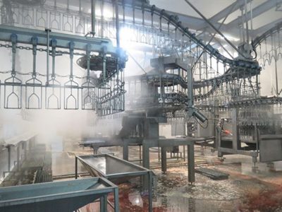 بهره برداری از کشتارگاه صنعتی طیور سپید ماکیان با حمایت بانک کشاورزی