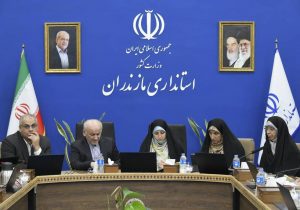 نحوه تخصیص تسهیلات تکلیفی با اولویت زنان سرپرست خانوار بررسی شد
