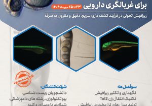 برگزاری کارگاه علمی تولید مدل تراریخت زبرافیش در پژوهشگاه رویان