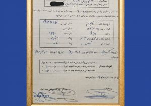 وفادارترین مشتری صنعت بیمه ایران معرفی شد