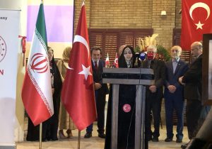 ایران و ترکیه ظرفیتهای گستردهای در حوزههای مختلف فرهنگی و هنری دارند