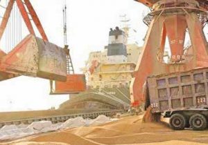 با پیگیری دادستان بندر امام خمینی (ره) انجام شد؛ ترخیص بیش از ۲۳۰ هزار تُن نهاده دامی در نیمه نخست سال