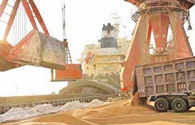 با پیگیری دادستان بندر امام خمینی (ره) انجام شد؛ ترخیص بیش از ۲۳۰ هزار تُن نهاده دامی در نیمه نخست سال