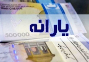 وزارت تعاون در حذف یارانه ثروتمندان کوتاهی کرده است/ گزارش استنکاف از قانون به قوه قضائیه ارسال میشود/کالابرگ باید بصورت منظم ارائه شود