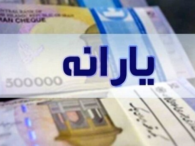 وزارت تعاون در حذف یارانه ثروتمندان کوتاهی کرده است/ گزارش استنکاف از قانون به قوه قضائیه ارسال میشود/کالابرگ باید بصورت منظم ارائه شود