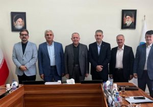 حمایت صندوق ضمانت سپرده ها از استمرار فعالیت و طرح احیای بانک سرمایه