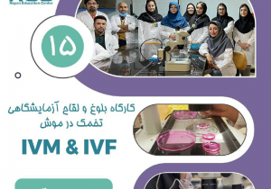 برگزاری کارگاه تخصصی لقاح آزمایشگاهی در موش با استفاده از تخمک نابالغ (IVM & IVF
