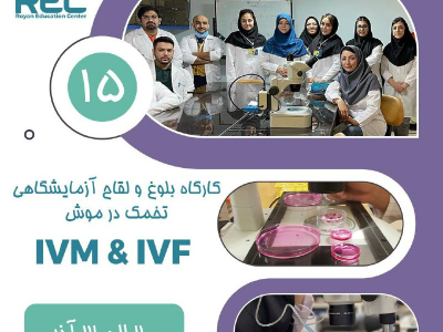 برگزاری کارگاه تخصصی لقاح آزمایشگاهی در موش با استفاده از تخمک نابالغ (IVM & IVF