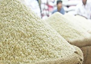 واردکنندگان برنج با ارز یارانهای حق ندارند محصول را به قیمت آزاد بفروشند