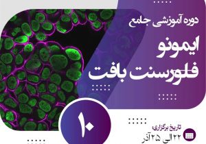 برگزاری دوره تخصصی ایمونوفلورسنت بافت در پژوهشگاه رویان
