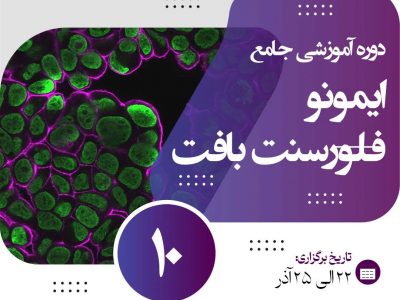 برگزاری دوره تخصصی ایمونوفلورسنت بافت در پژوهشگاه رویان