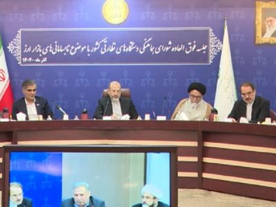 برگزاری جلسه فوقالعاده دستگاههای نظارتی درباره نابسامانیهای بازار ارز