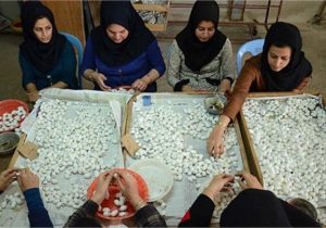 صندوق کارآفرینی امید همدان سه هزار و ۴۰۰ میلیارد ریال تسهیلات اشتغال پرداخت کرد