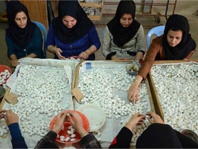 صندوق کارآفرینی امید همدان سه هزار و ۴۰۰ میلیارد ریال تسهیلات اشتغال پرداخت کرد