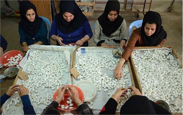 صندوق کارآفرینی امید همدان سه هزار و ۴۰۰ میلیارد ریال تسهیلات اشتغال پرداخت کرد صندوق کارآفرینی امید همدان سه هزار و ۴۰۰ میلیارد ریال تسهیلات اشتغال پرداخت کرد