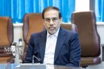 الگوی ایرانی، امنیت اجتماعی