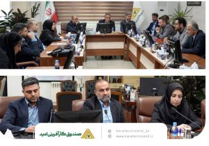 شرکتهای وابسته باید بهسمت توسعه کار و بلوغ مالی حرکت کنند